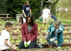 Đệ nhất phu nhân Michelle Obama lần cuối trồng rau ở Nhà Trắng