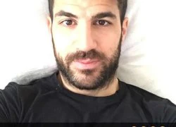 Fabregas hớn hở sau trận thua Swansea