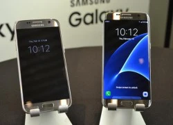 Galaxy S7 thành công rực rỡ nhờ iPhone 6S