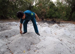 Hàng trăm ngôi mộ giả trong khu rừng quy hoạch