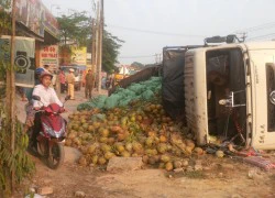 Hàng trăm trái dừa đổ xuống đường, không ai hôi của