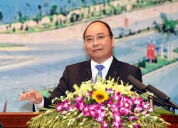 Huy động nhà khoa học, mời chuyên gia quốc tế làm rõ nguyên nhân cá chết