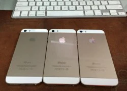 iPhone 5S khóa mạng Nhật giá dưới 3,6 triệu đồng về Việt Nam