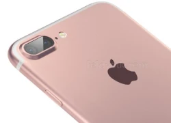 iPhone 7 Plus mới sẽ có camera kép