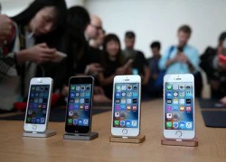 iPhone SE 'ảm đạm' tại Việt Nam, iPhone 5S/6 cũ 'đứng vững'