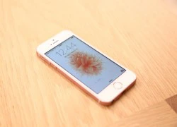 iPhone SE gặp khó ở châu Á