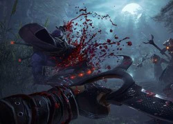 Mãn nhãn với gameplay siêu ấn tượng của Shadow Warrior 2