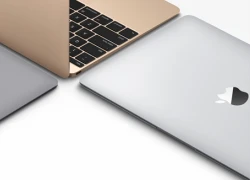 Máy tính Windows giảm mạnh, Mac bất ngờ tăng trưởng