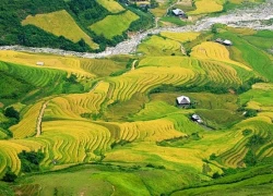 Mù Cang Chải và hành trình đi tìm sự an yên