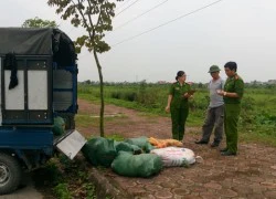 Nam Định bắt 600 kg nội tạng không rõ nguồn gốc