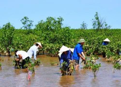 "Nên làm bạn với mặn vì nó sẽ là cơ hội làm giàu"