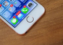 Người dùng mở khóa iPhone trung bình 80 lần mỗi ngày