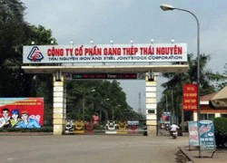 Nhà thầu Trung Quốc đòi Tisco bồi thường hàng trăm tỷ đồng