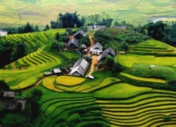 Nhiều lựa chọn tour cho du khách dịp lễ 30/4