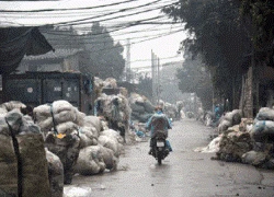 Nhức nhối "làng" tái chế rác thải