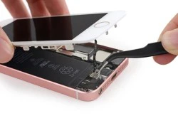 Phí sản xuất iPhone SE khoảng 3,5 triệu đồng