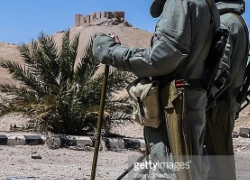 Quân đội Nga nỗ lực rà phá bom mìn tại Palmyra, Syria