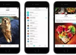 Reddit chính thức ra mắt ứng dụng trên iOS và Android