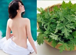 Sạch mụn, trắng da và tiêu hao mỡ bụng nhanh chóng chỉ với 1 nắm ngải cứu