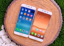 Sắp có hai Oppo cùng kinh doanh ở Việt Nam?