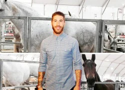 Sergio Ramos nuôi ngựa: Đua có giải, nghỉ vẫn hái ra tiền