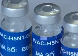 Thử nghiệm giai đoạn 2 vaccine cúm A/H5N1 tại Khánh Hòa