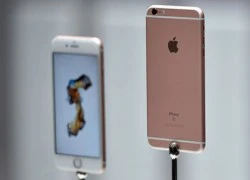 Việc nhẹ lương cao: Hiến tặng tinh trùng, nhận ngay iPhone 6S!