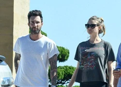 Vợ chồng Adam Levine bị đâm xe