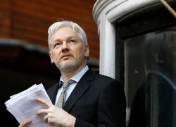 Wikileaks yêu cầu công khai tài liệu Panama