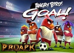 Angry Birds Goal: Khi 'chim điên' biết đá bóng