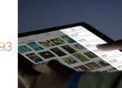 Apple phát hành bản iOS 9.3.3 cho nhà phát triển
