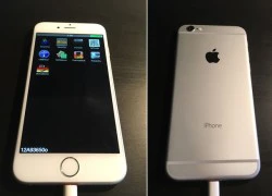 Bản iPhone 6 nguyên mẫu được trả giá hơn 1 tỷ đồng