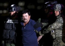 "Bố già" El Chapo có nhiều máy bay hơn hãng bay lớn nhất Mexico