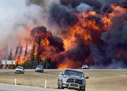 Các doanh nghiệp dầu mỏ sốt ruột do cháy rừng ở Canada