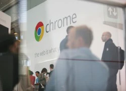 Chrome không còn hỗ trợ Flash vào cuối năm 2016