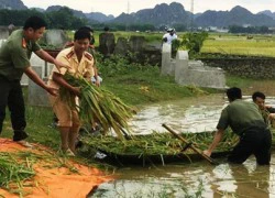 Công an giúp dân gặt lúa chạy lũ