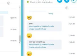 Đã có cách diệt virus lây qua Skype tại Việt Nam