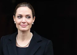 Dư luận mỉa mai Angelina Jolie làm giáo sư thỉnh giảng