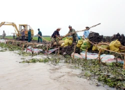 Hạn mặn rút đi, miền Tây lại lo bão lũ