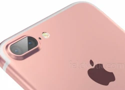 iPhone 7 Plus có camera kép, RAM 3 GB