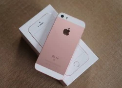 iPhone SE chính hãng kém hút khách