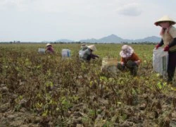 Làm mô hình cụ thể thay vì vận động suông