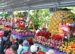 "Lễ hội Trái cây Nam Bộ 2016": Phong phú, đa dạng đủ loại trái cây