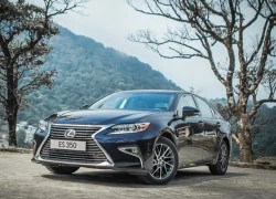 Lexus Việt Nam triệu hồi hơn 100 xe ES 250 và ES 350