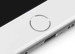 Mọi tin đồn về iPhone mới đều không đáng tin