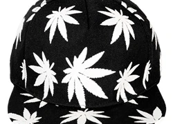 Nón Snapback nam nữ lá cần cách tân