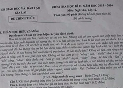 Sở GD&#038;ĐT Gia Lai giải trình đề thi Ngữ Văn &#8216;đánh võng&#8217;