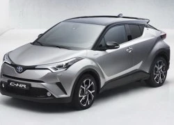 Toyota C-HR có thể thêm phiên bản hiệu suất cao