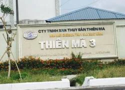 Vụ Tòng &#8220;Thiên Mã&#8221;: Lên phương án xử lý món nợ gần 900 tỷ đồng