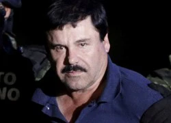 'Vua vượt ngục' El Chapo đòi truyền hình Mỹ trả tiền bản quyền